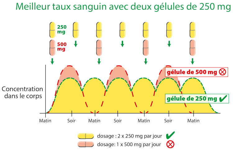 Quercétine plus C